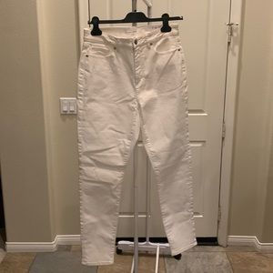 Loft *Curvy Jeans* NWT